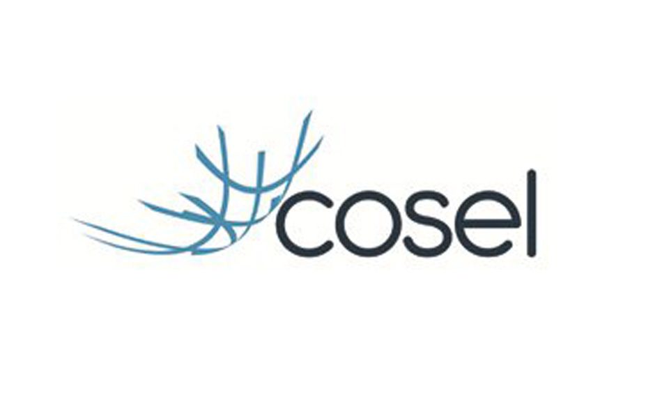 Logo Cosel Commercialisti Associati