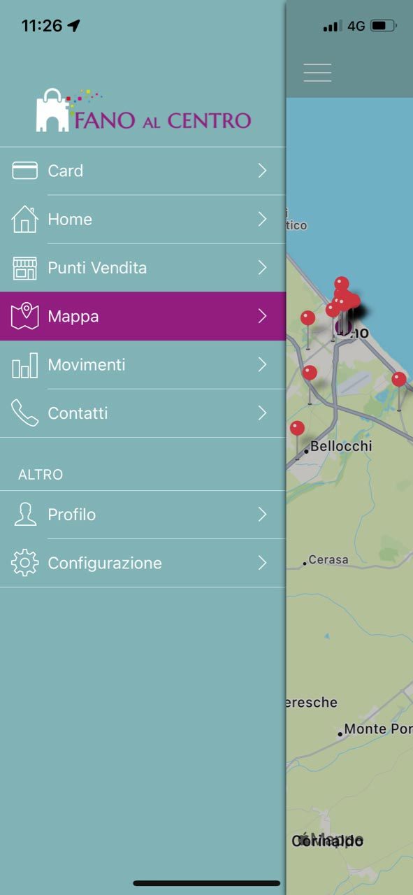 store locator mappa